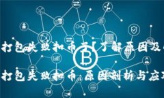 tokenim打包失败扣币了？了解原因及解决方案Tok